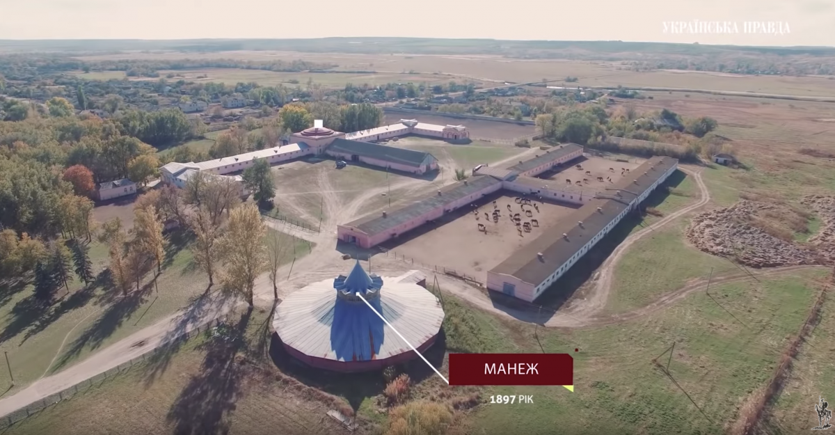 Коні - це життя. Біловодщина. Луганщина. МОЯ Коні - це життя. Біловодщина. Луганщина. МОЯ