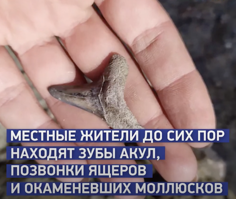 Сватово на Луганщині славиться своєю давньою історією та живописною степною природою Сватово на Луганщині славиться своєю давньою історією та живописною степною природою